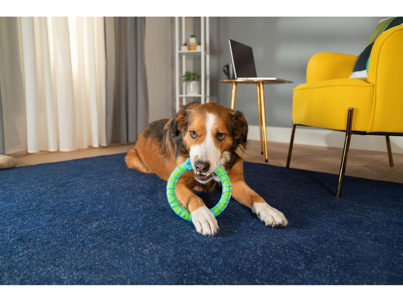 Wham-O Pets WHAM-O Chewla Hoop Squeak