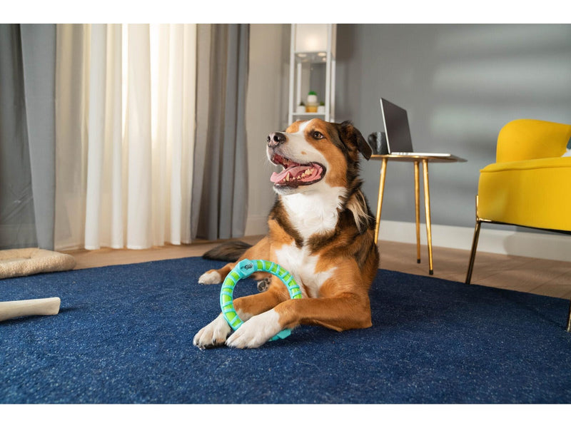 Wham-O Pets WHAM-O Chewla Hoop Squeak