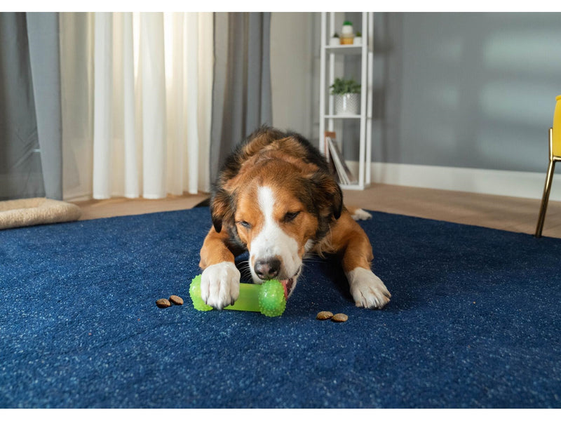 Wham-O Pets WHAM-O Super Ball Treat Dispenser - M