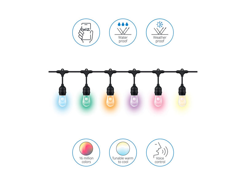 WiZ Lichterkette - LED x 12 - RGB - Schwarz