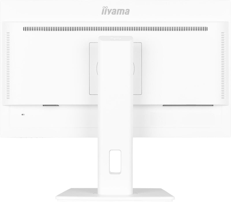 iiyama ProLite XUB2497HSU-W2 Full HD Display 60,5 cm (24')