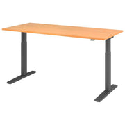 HAMMERBACHER XMKA19 höhenverstellbarer Schreibtisch 70,0 - 120,0 cm - elektrisch buche / grafit