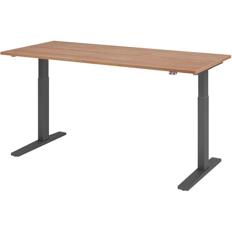 HAMMERBACHER XMKA19 höhenverstellbarer Schreibtisch 70,0 - 120,0 cm - elektrisch nussbaum / grafit