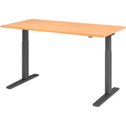 HAMMERBACHER XMKA16 höhenverstellbarer Schreibtisch 70,0 - 120,0 cm - elektrisch buche / grafit