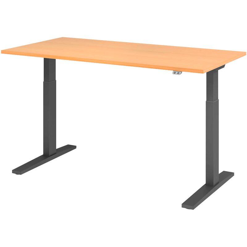 HAMMERBACHER XMKA16 höhenverstellbarer Schreibtisch 70,0 - 120,0 cm - elektrisch buche / grafit