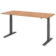 HAMMERBACHER XMKA19 höhenverstellbarer Schreibtisch 70,0 - 120,0 cm - elektrisch asteiche / grafit