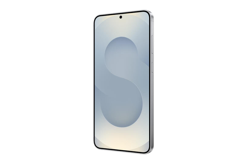 Samsung S936B Galaxy S25+ 5G 256 GB (Silver Shadow)