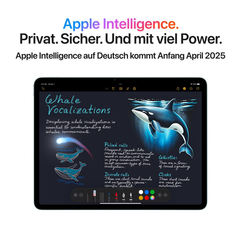 Apple iPad Air 32,78cm (13') 7. Generation Wi-Fi 512GB space grau