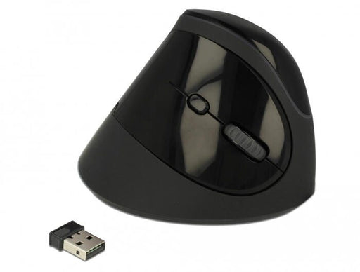Delock Ergonomic - kabellose vertikale Maus - Schwarz