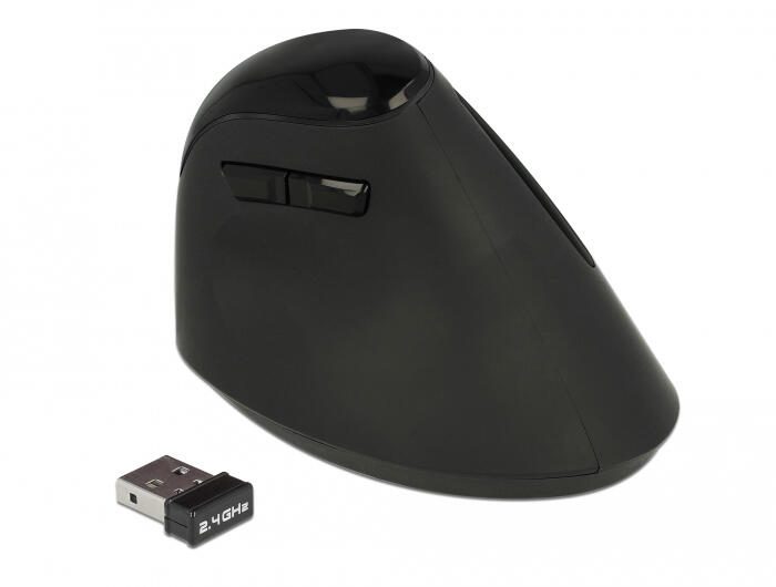 Delock Ergonomic - kabellose vertikale Maus - Schwarz
