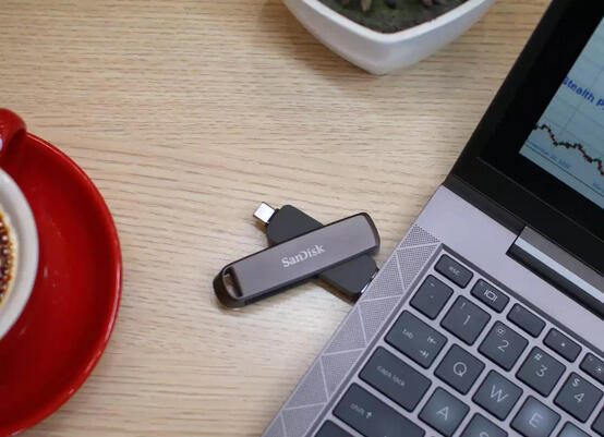 SanDisk SDDDE1-512G-G46 USB-Stick 512 GB