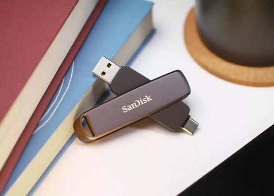 SanDisk SDDDE1-512G-G46 USB-Stick 512 GB