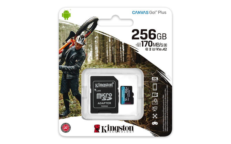 Kingston Canvas Go Plus Speicherkarte 256 GB, mit Adapter