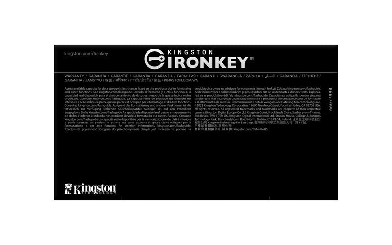 Kingston IronKey D500S USB-Stick 32 GB