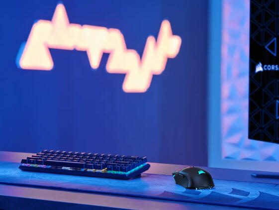 Corsair NIGHTSABRE kabellose RGB-Gaming-Maus, schwarz