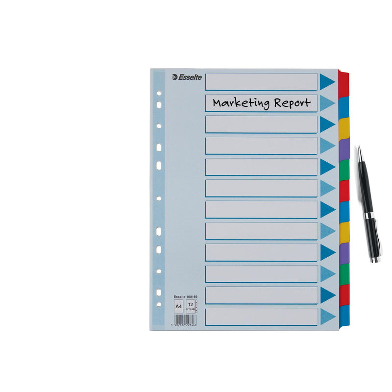 Esselte Ordnerregister Vollformat blanko DIN A4