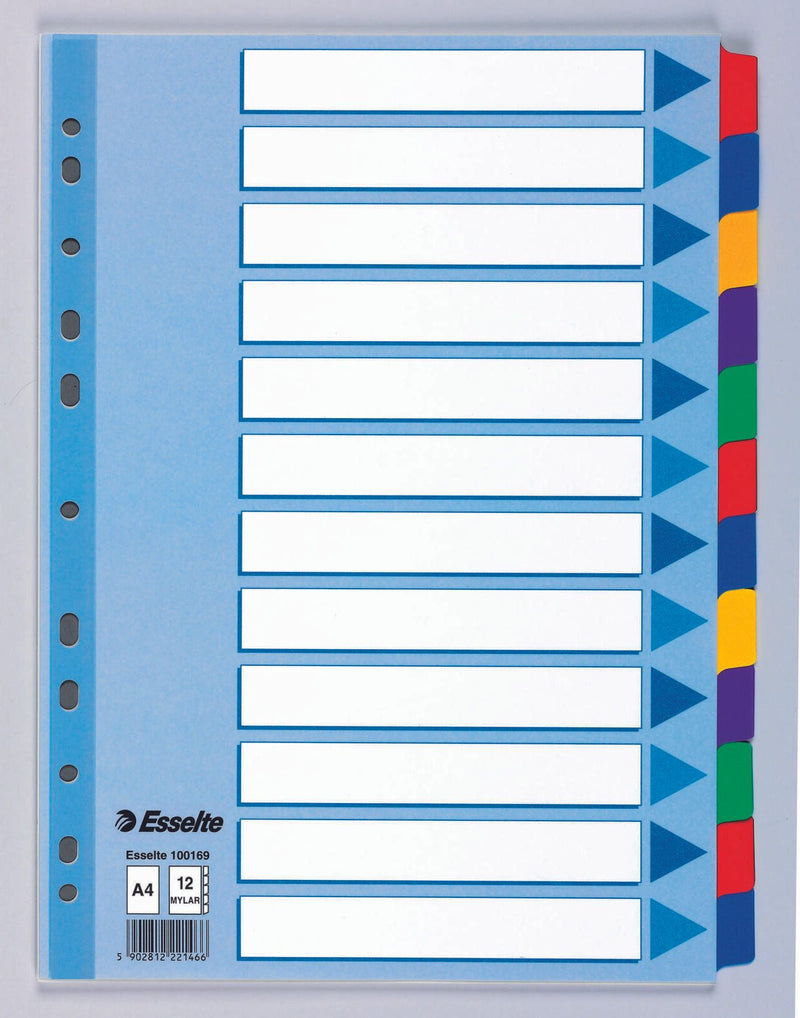Esselte Ordnerregister Vollformat blanko DIN A4