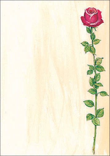 SIGEL Rose Bloom Motivpapier DIN A4 90 g/m²