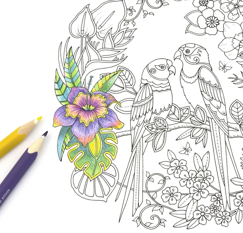 STAEDTLER Buntstifte ergosoft® Mehrfarbig