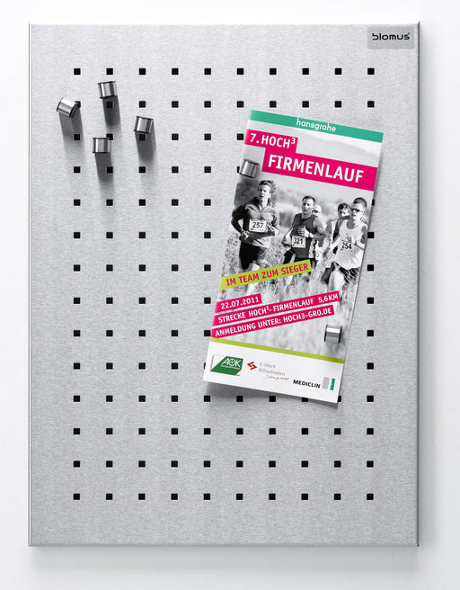 blomus Magnettafel gelocht 30,0 x 40,0 cm silber