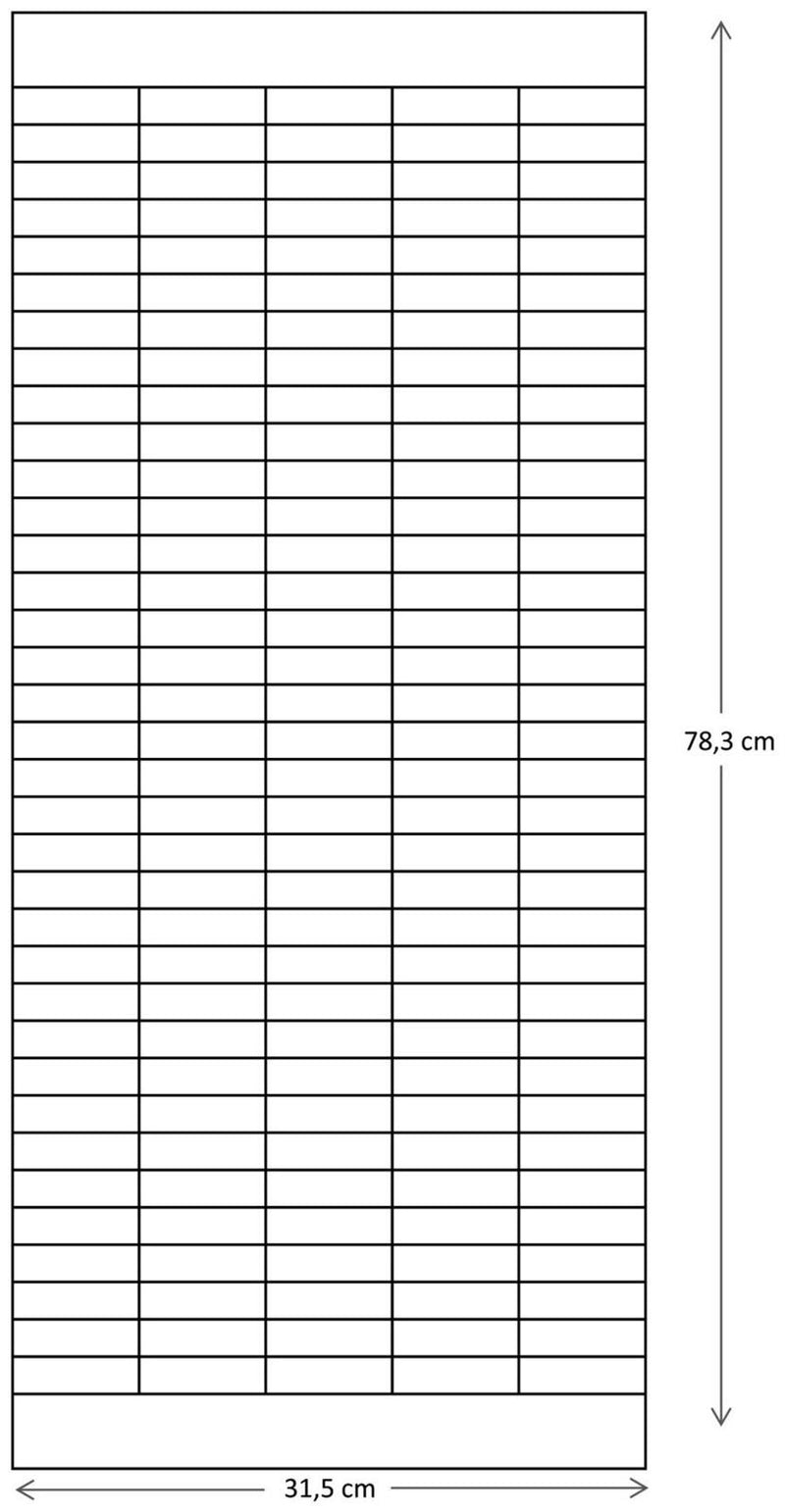 FRANKEN Stecktafel 31,5 x 78,3 cm 5 - Fach