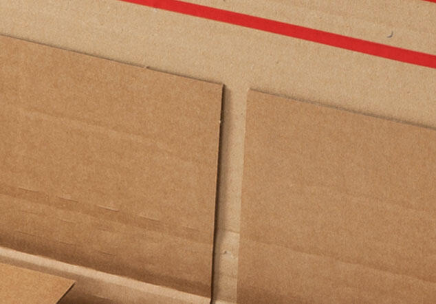 ColomPac® Buchverpackungen 23,0 x 16,5 x 7,0 cm