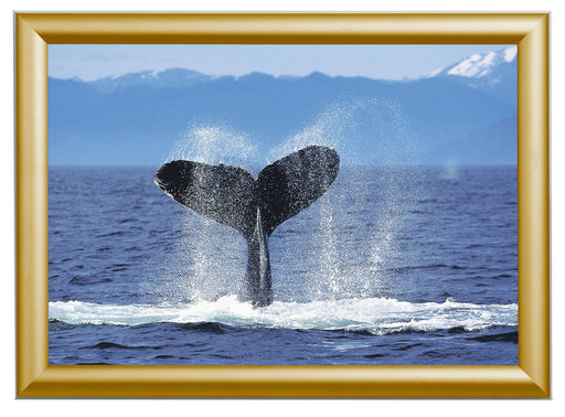 Showdown® Displays Klapprahmen 32,8 x 45,1 cm gold