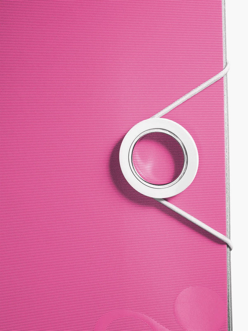 LEITZ Ordner Rückenbreite 8.2 cm DIN A4 Kunststoff pink