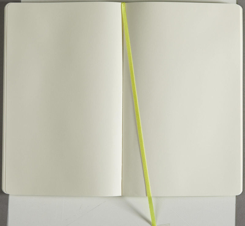 MOLESKINE Classic Collection flexibler Einband Notizbuch ca. DIN A5 blanko hellgrün