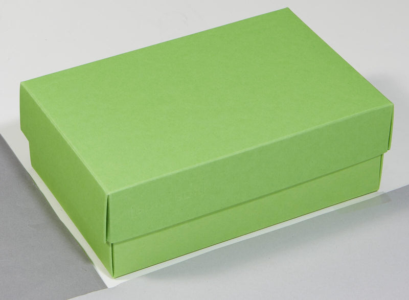 BUNTBOX Geschenkboxen M 1,1 l - 17,0 x 11,0 x 6,0 cm grün