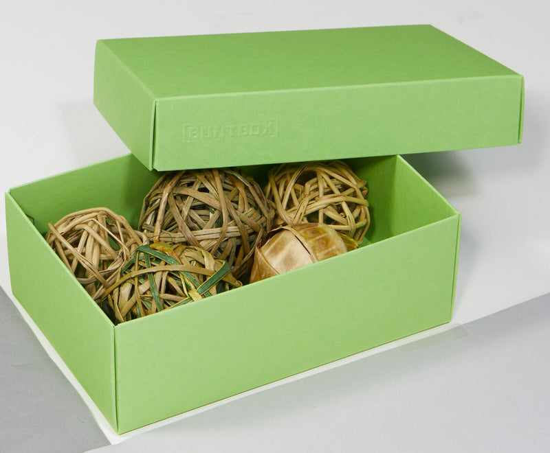 BUNTBOX Geschenkboxen M 1,1 l - 17,0 x 11,0 x 6,0 cm grün
