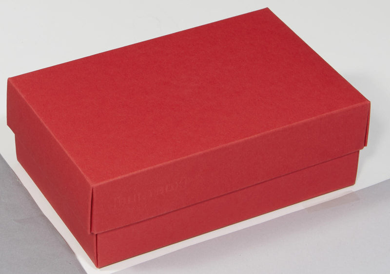 BUNTBOX Geschenkboxen M 1,1 l - 17,0 x 11,0 x 6,0 cm rot
