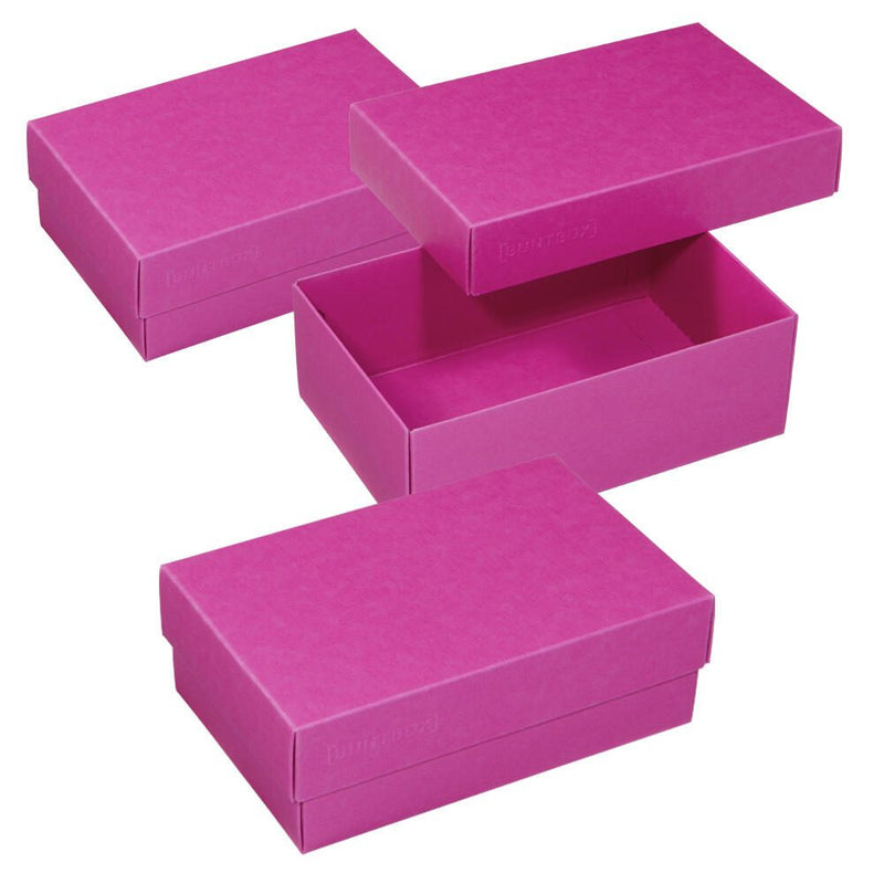 BUNTBOX Geschenkboxen M 1,1 l - 17,0 x 11,0 x 6,0 cm pink
