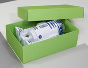 BUNTBOX Geschenkboxen XL 8,6 l - 34,0 x 22,0 x 11,5 cm grün