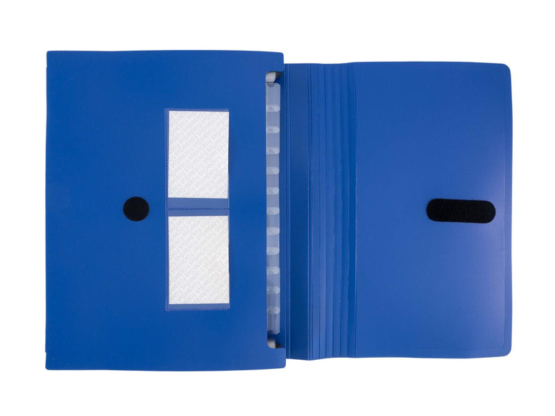 FolderSys Fächermappe DIN A4 12-Fach blau