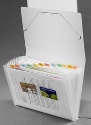 FolderSys Fächermappe DIN A4 12-Fach transparent