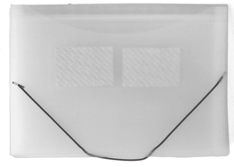FolderSys Fächermappe DIN A4 12-Fach transparent