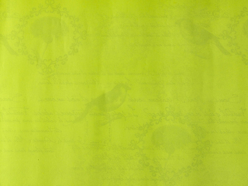 JUNG SCHßNER VERPACKEN Geschenkpapier 50 cm x 20 m beige/hellgrün