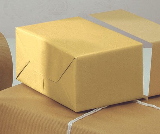JUNG SCHÖNER VERPACKEN Recycling Packpapier 50,0 x 20,0 (cm x m) braun