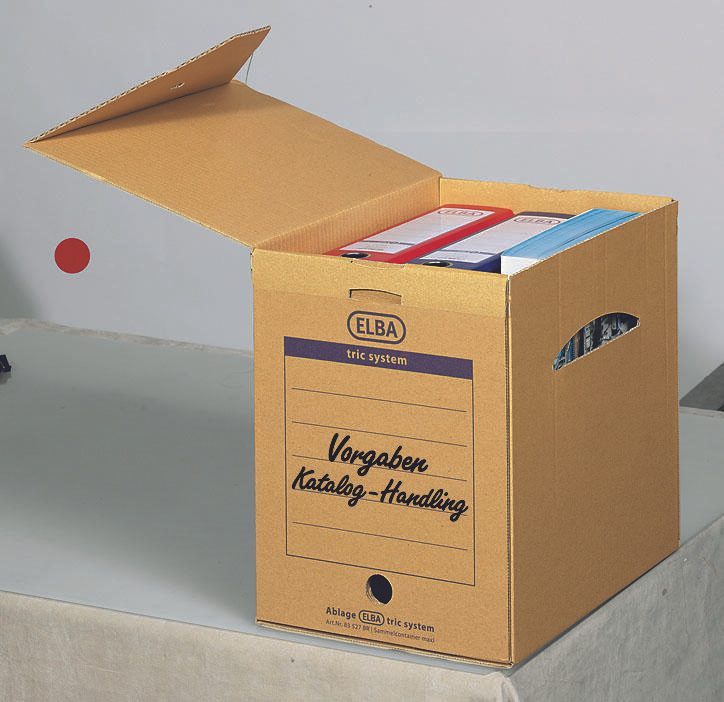 ELBA Archivboxen für lose Dokumente 24,0 x 34,1 x 31,5 cm