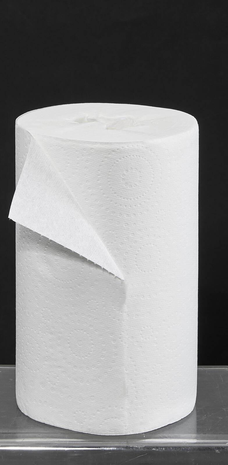 Zewa Küchenrolle Easypull 2-lagig