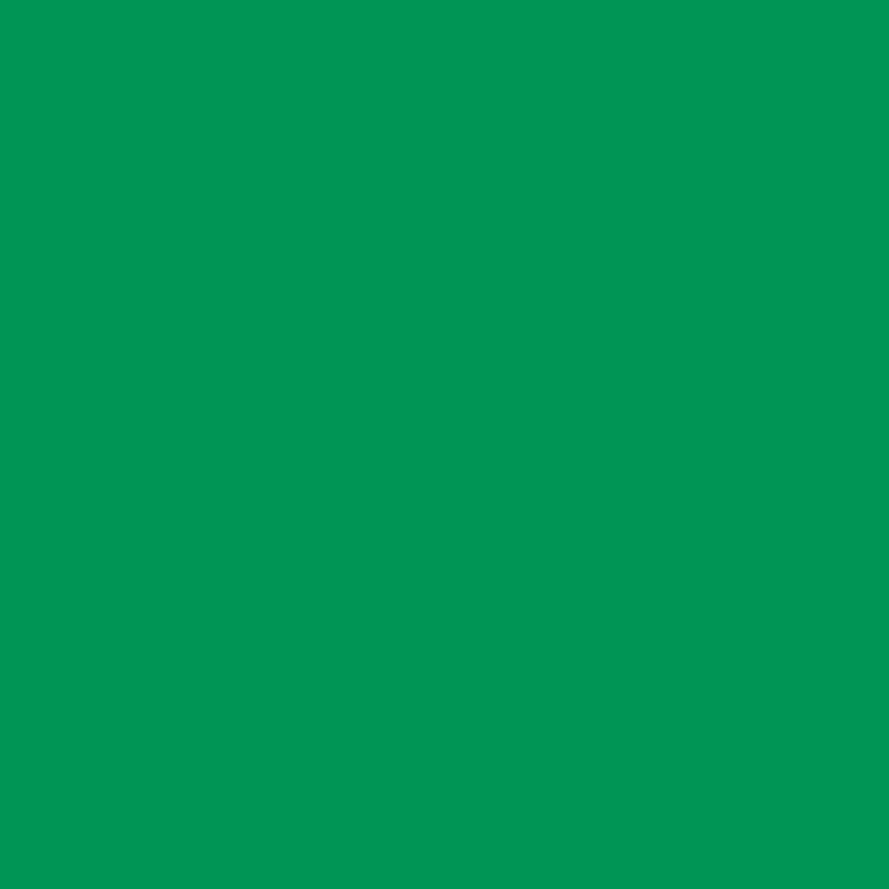 Cricut Vinylfolie permanent 33 cm x 3.6 m grasgrün