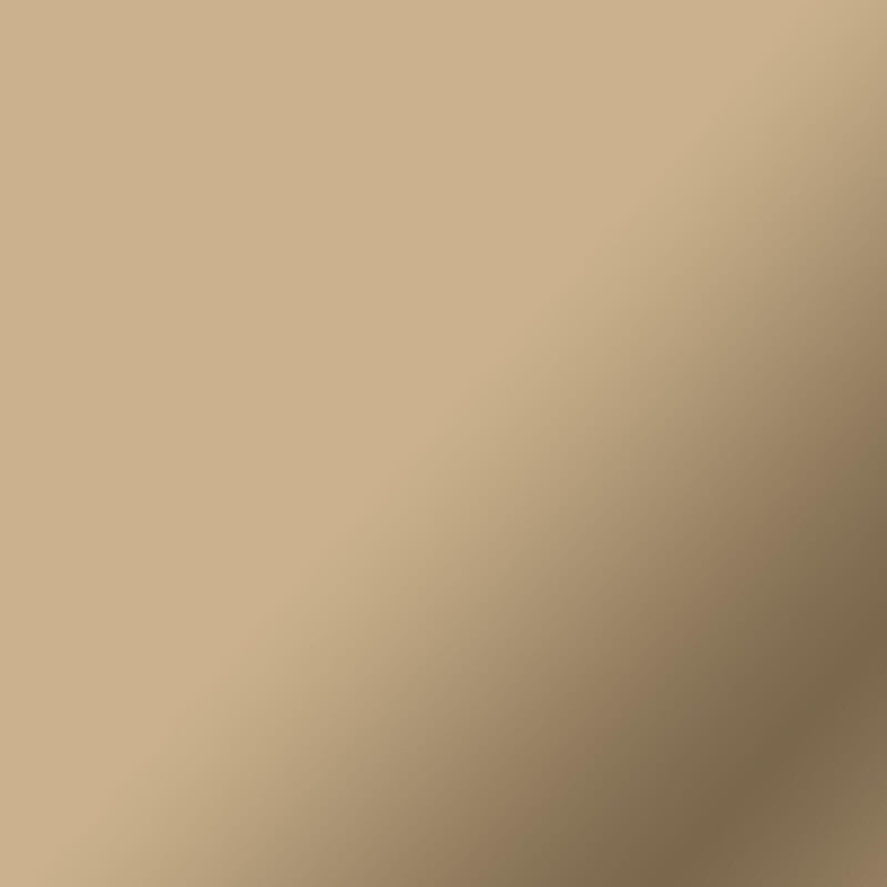 Cricut Vinylfolie wiederablösbar 33 cm x 3.6 m champagner