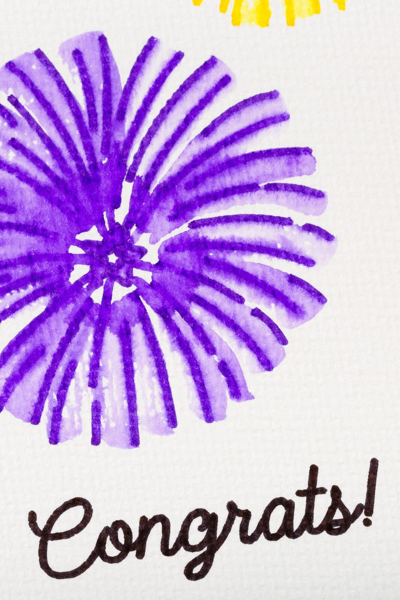Cricut Aquarellstifte & -pinsel 2009978
