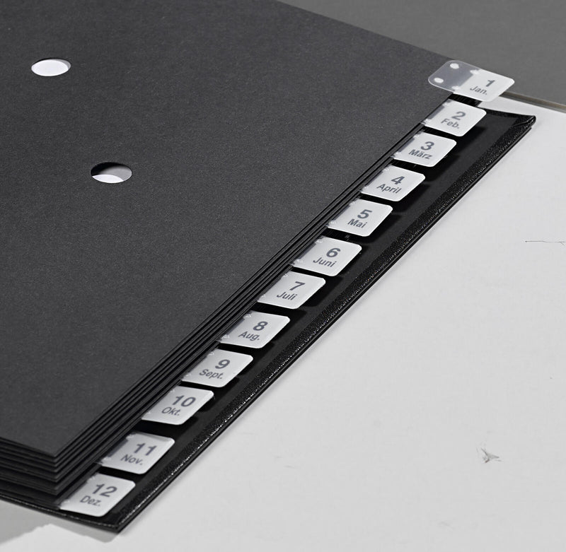 dots Pultordner DIN A4 12 Taben schwarz