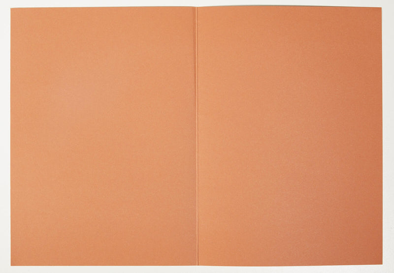 ELBA Aktendeckel DIN A4 orange