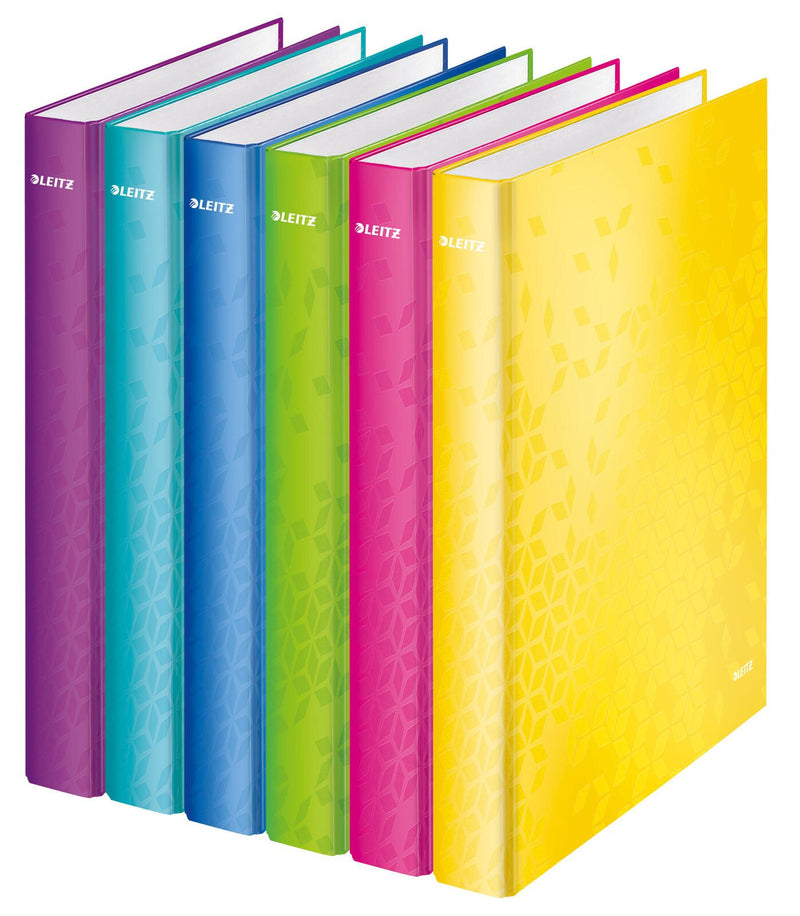 LEITZ Ringbuch 2-Ringe DIN A4 4 cm grün