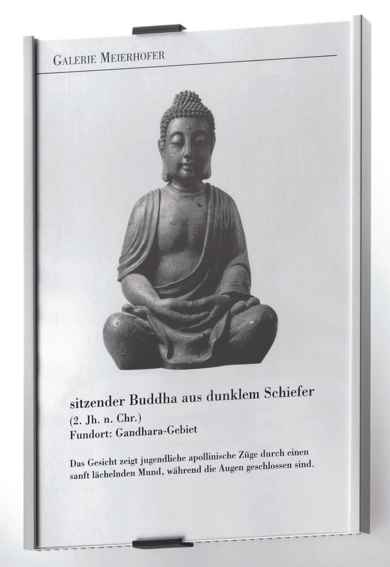 DURABLE Türschild 21,0 x 29,7 cm silber