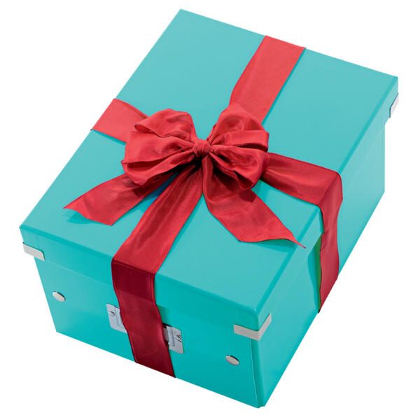 LEITZ Aufbewahrungsbox 7,4 l - 21,6 x 28,2 x 16,0 cm eisblau