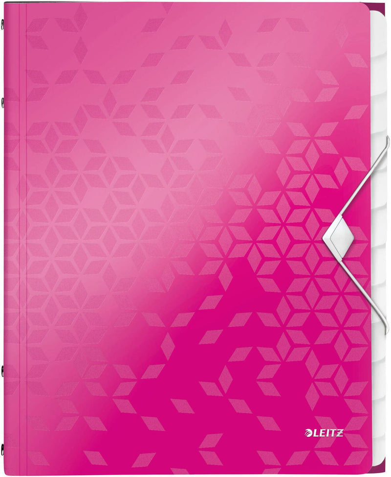 LEITZ Ordnungsmappe DIN A4 12-Fach pink